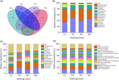 Effect of stand age on rhizosphere microbial community assembly of dominant shrubs during sandy desert vegetation restoration